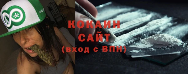 мет Арсеньев