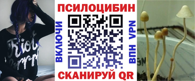 даркнет сайт  Балахна  Галлюциногенные грибы GOLDEN TEACHER 